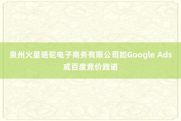 泉州火星骆驼电子商务有限公司如Google Ads或百度竞价践诺